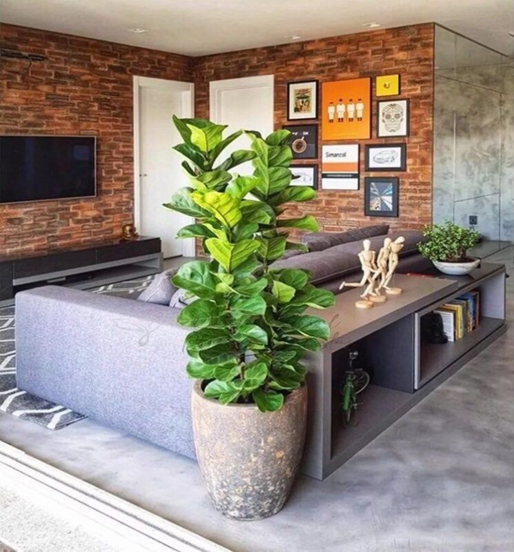 Plantas na Decoração: 10 razões para decorar a sua casa com Plantas