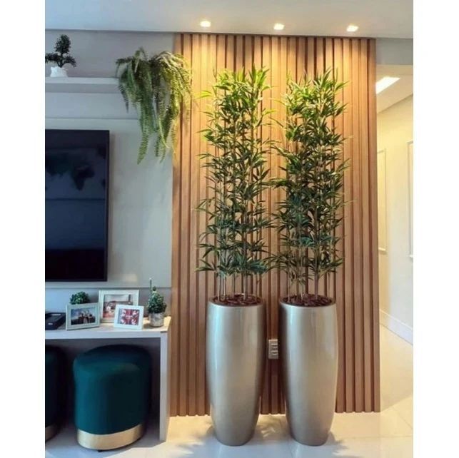 Plantas na Decoração: 10 razões para decorar a sua casa com Plantas