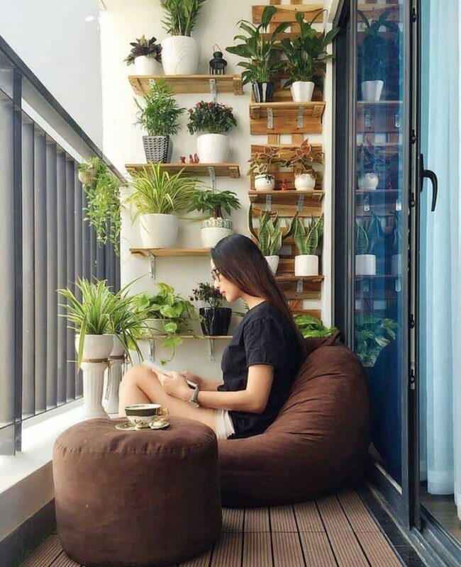 Plantas na Decoração: 10 razões para decorar a sua casa com Plantas