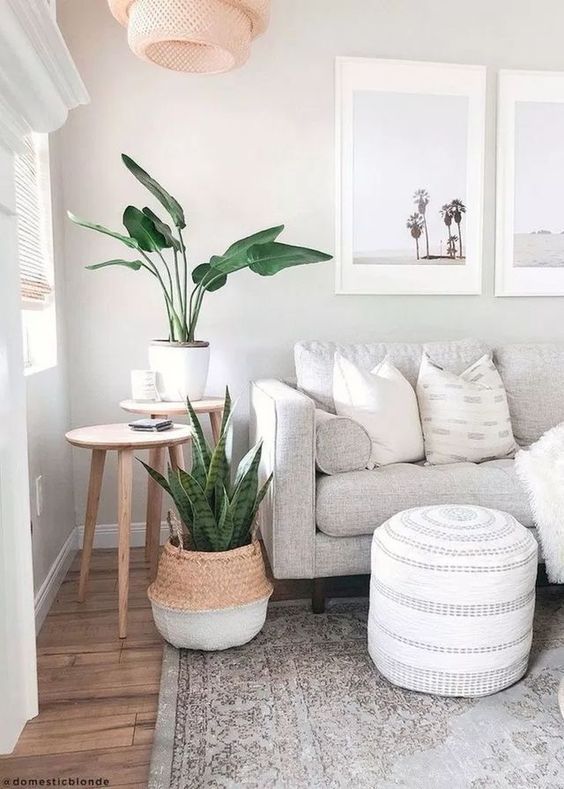 Plantas na Decoração: 10 razões para decorar a sua casa com Plantas